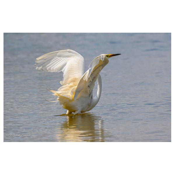 PHOTO84, CLUB, 84 , LUBERON